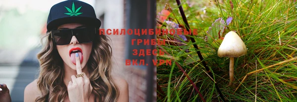 дмт Белокуриха