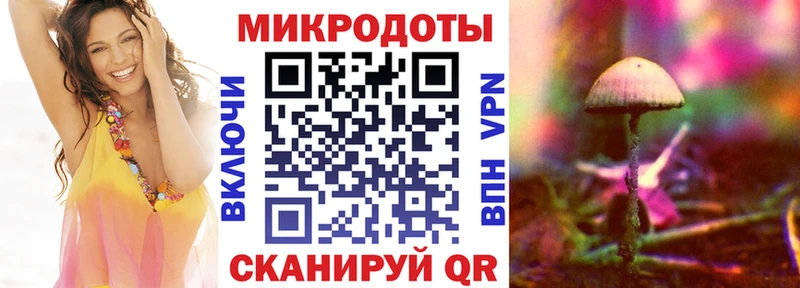 Галлюциногенные грибы прущие грибы  закладка  Кизилюрт 